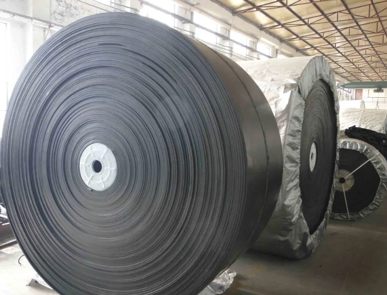 CORREIA TRANSPORTADORA.png